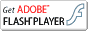 Adobe Flash Player_E[h